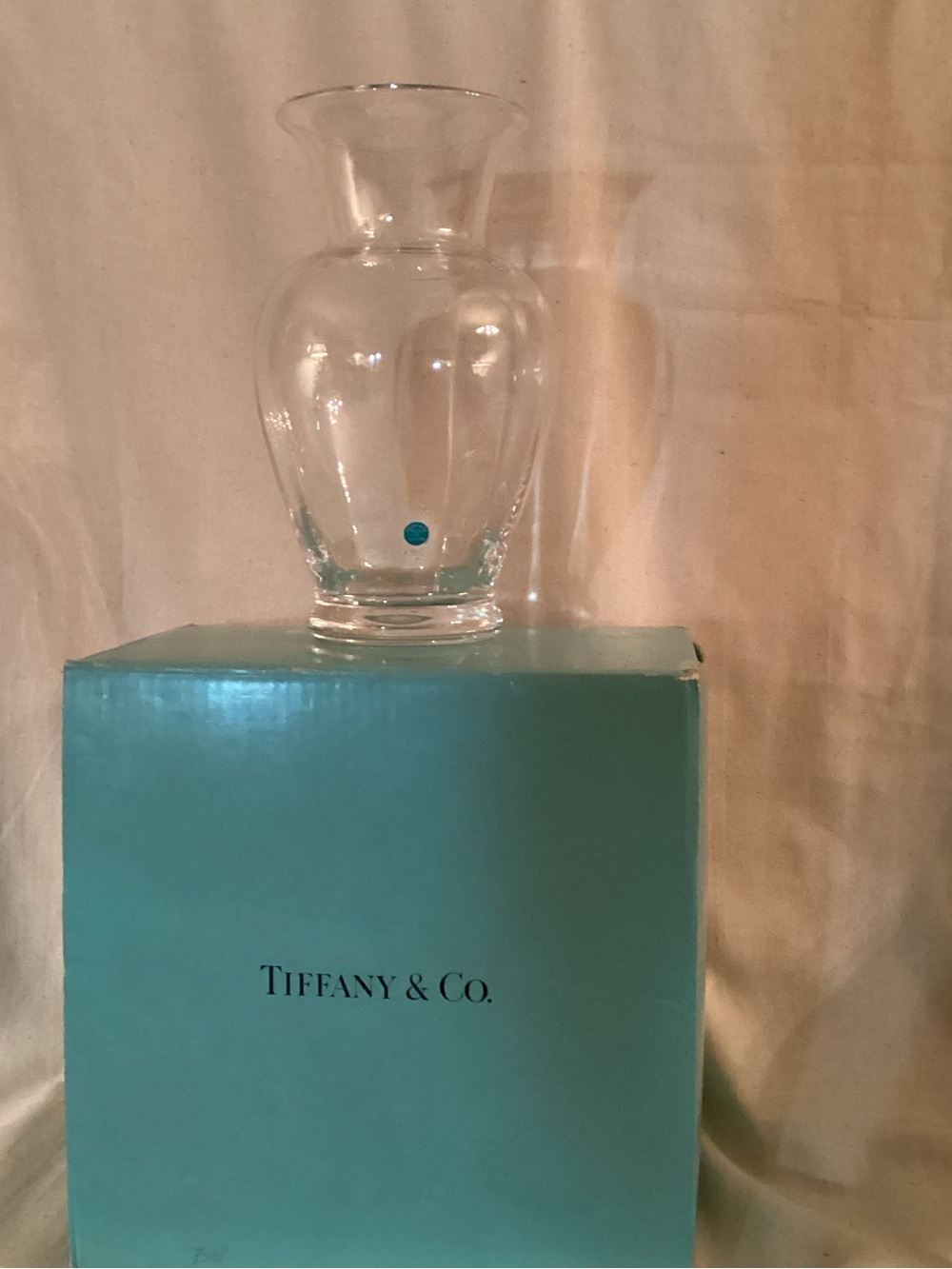 Tiffany & Co. Georgetown 11” Vase Signature Robin's Egg Blue Box